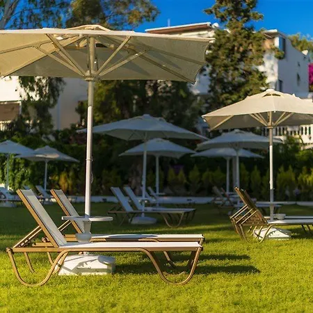 Liv By Bellazure Akyarlar