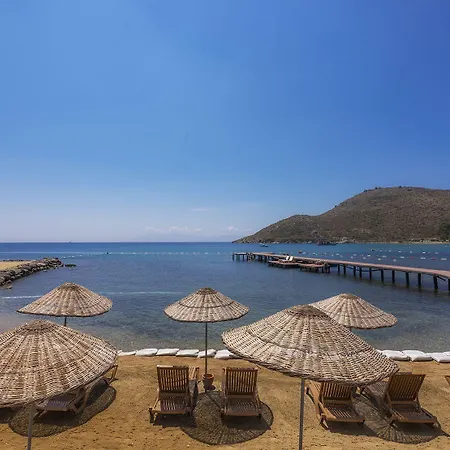 ليف هوتل باي بيلازور 4* أكيارلار