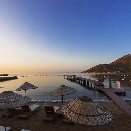 ليف هوتل باي بيلازور