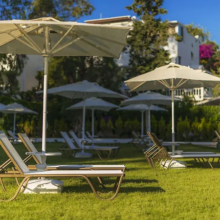 ليف هوتل باي بيلازور 4* أكيارلار