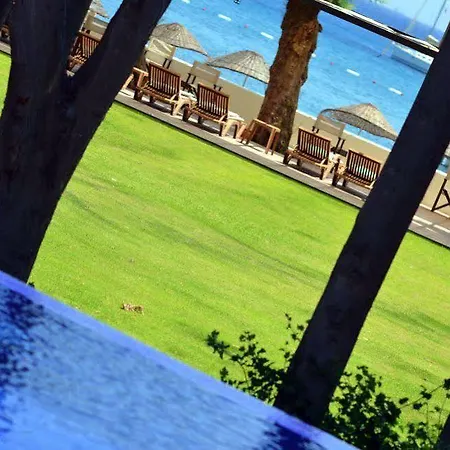 فندق ليف هوتل باي بيلازور 4*