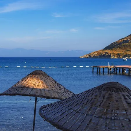 ليف هوتل باي بيلازور