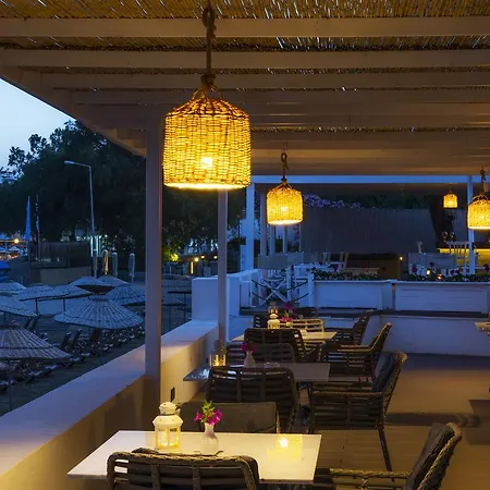 ليف هوتل باي بيلازور