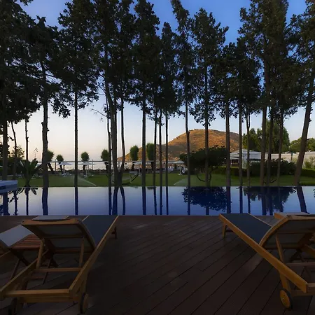 Liv By Bellazure Hotel