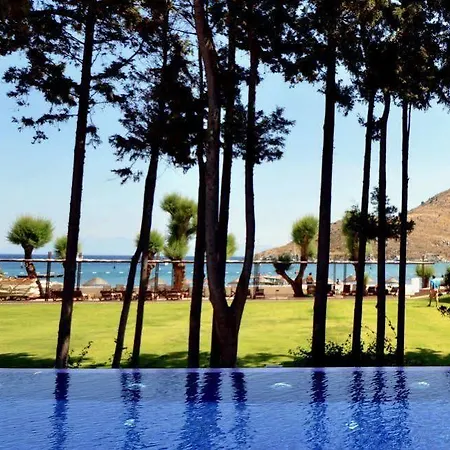 ليف هوتل باي بيلازور 4*