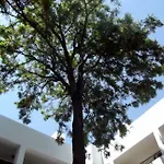 Liv By Bellazure Hotel 4*