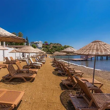 Hotel Liv By Bellazure