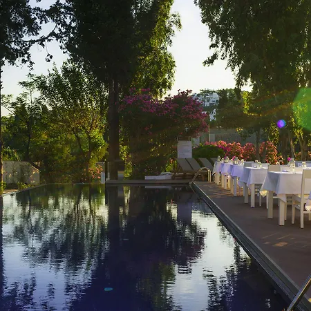 Liv By Bellazure Hotel