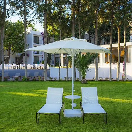 Liv By Bellazure Hotel