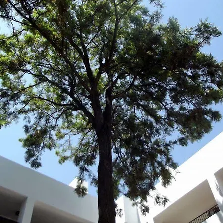 Liv By Bellazure Hotel 4*