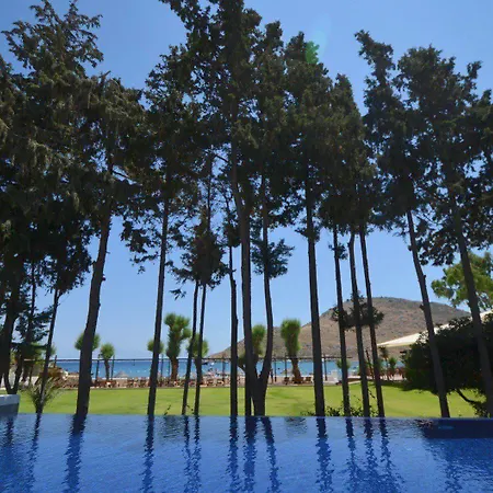 Liv By Bellazure 4* Akiarlar