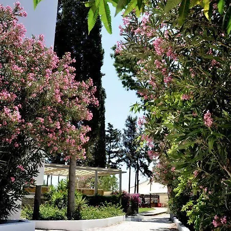 Liv By Bellazure Akiarlar